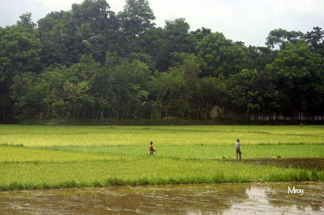 pentax coxs bazar day one n two 154