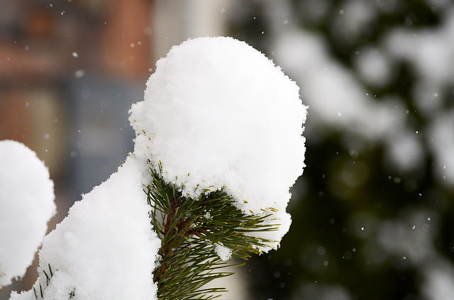 a little snow