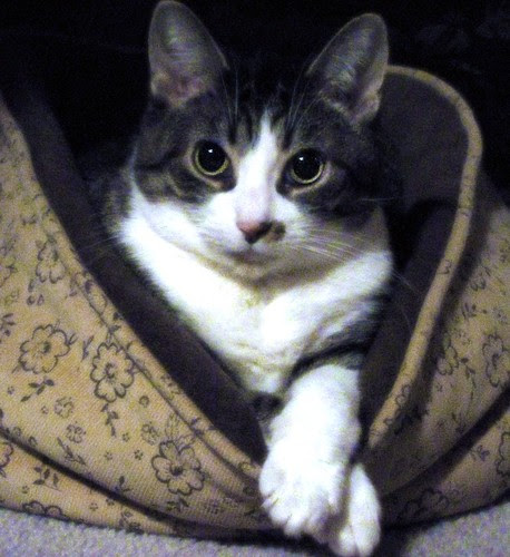 Miss Lucy is here to assist you with any questions  =) by cherithsky