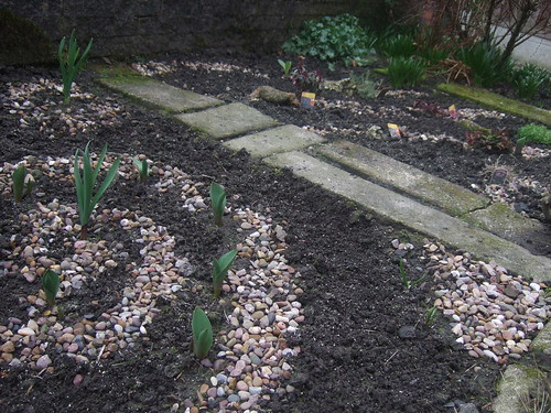 rockery