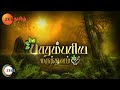 Paarambariya Maruthuvam ( Ladies finger - Vendaikkaai maruthuvam - aanmai kuraivu, neerilivu, thol noi)
