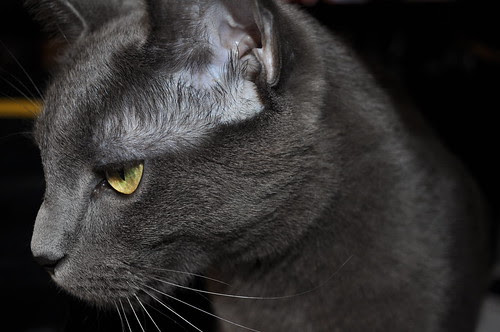 Brooding boy