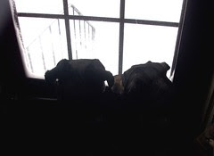 LolaTut_door_11211