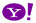 Y!