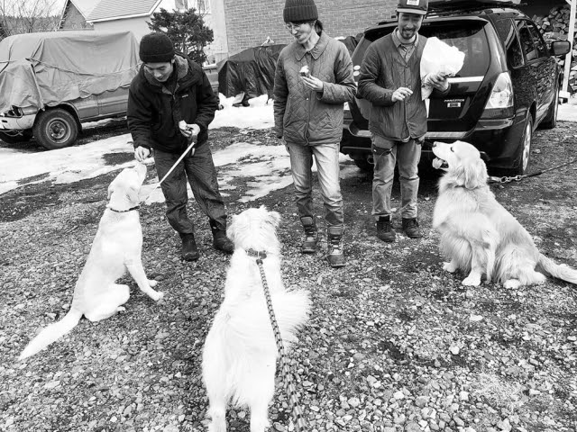Deni S Store犬がいる生活