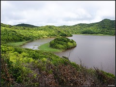 DSC02249
