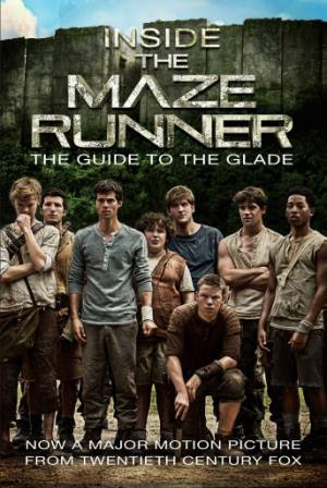 The Maze Runner (2014) 300MB BRRip 480P English ESubs