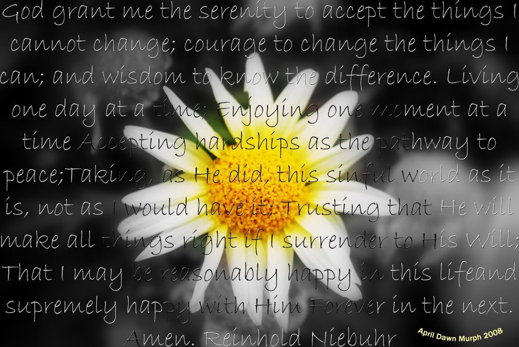 .jpg Daisy Serenity Prayer .