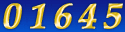 Web Site Hit Counters