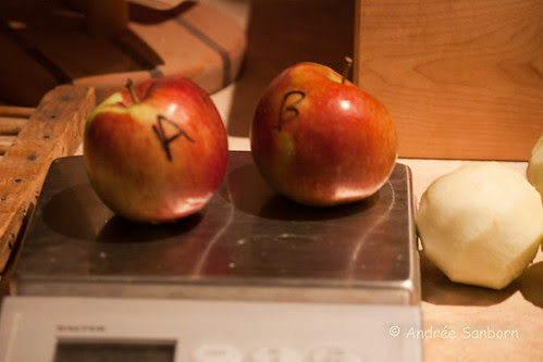 Coxeter's Pippin Experiment (1 of 3).jpg