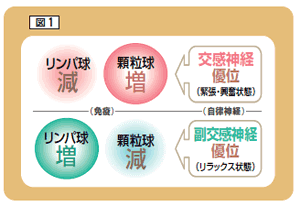 私の考えるアトピーの治し方 アトピー性皮膚炎 総合情報サイト あとぴナビ