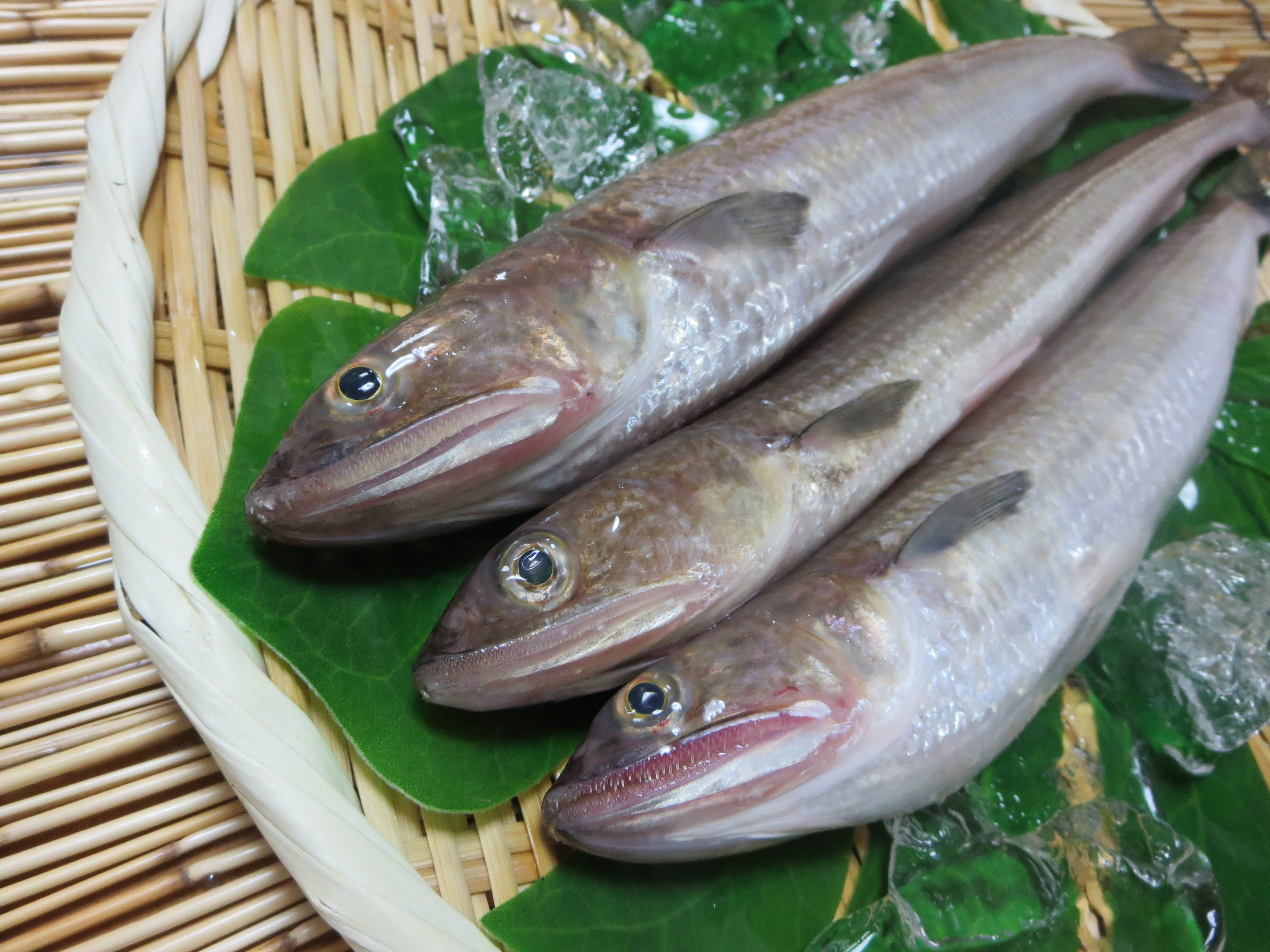 エソの産直通販 さつま揚げレシピ