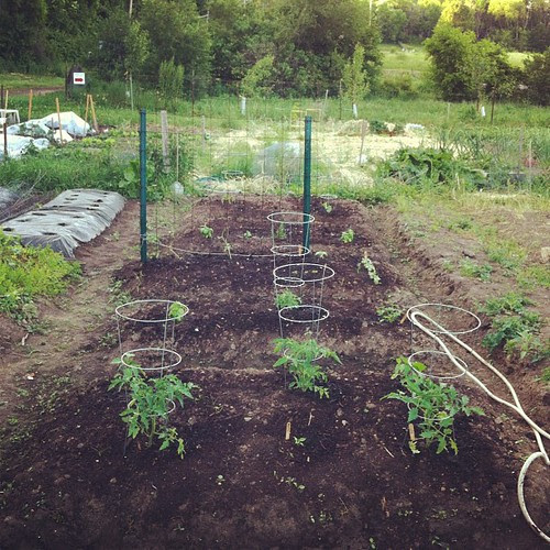 Garden by jenib320