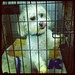 Davey's headed home!