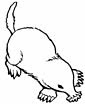 Download Mole - Animals Town