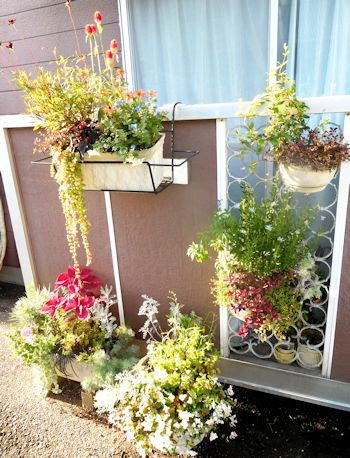 13 ベランダガーデニングや寄せ植えのことを少し 1日1個 3日で4個 My Season ブログ