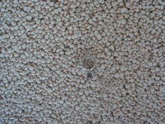found necklace