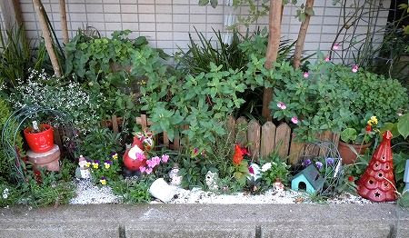根っこの花工房 花つむりです 冬の寄せ植え クリスマスっぽい