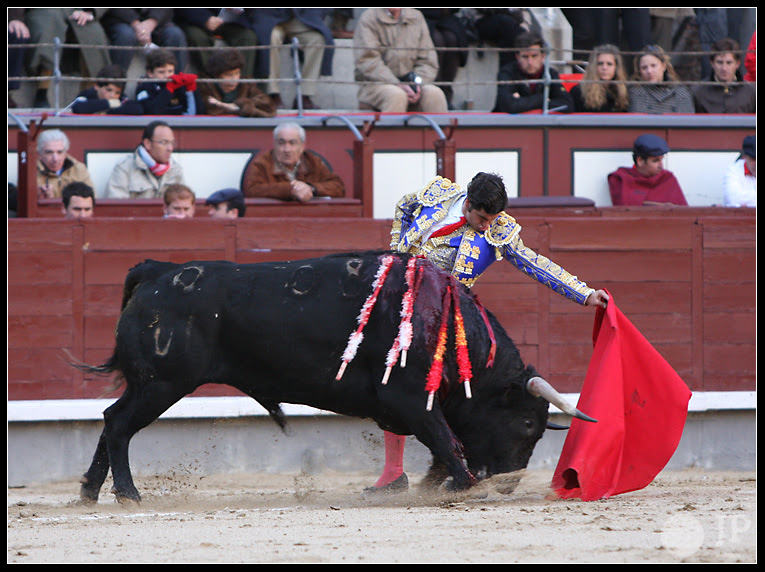 morante-23-de-marzo-de-2008