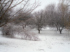 AprilSnow_40507
