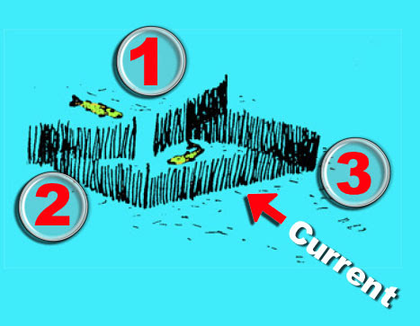 Fish Trap