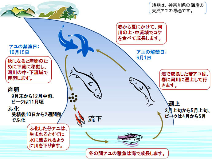 小中学校の総合学習 深掘り