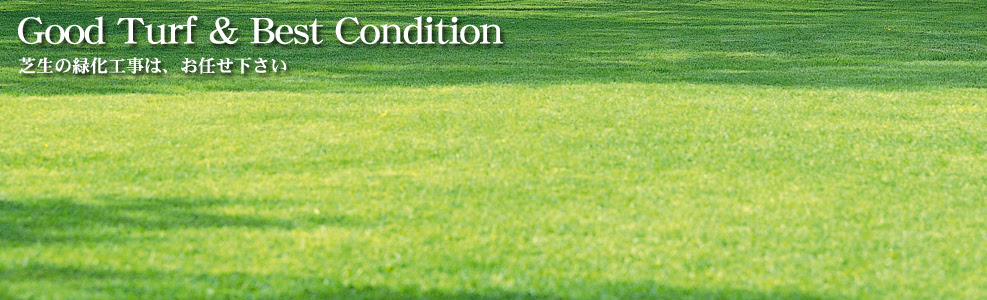 芝肥料 芝種子紹介 タナカ産業株式会社