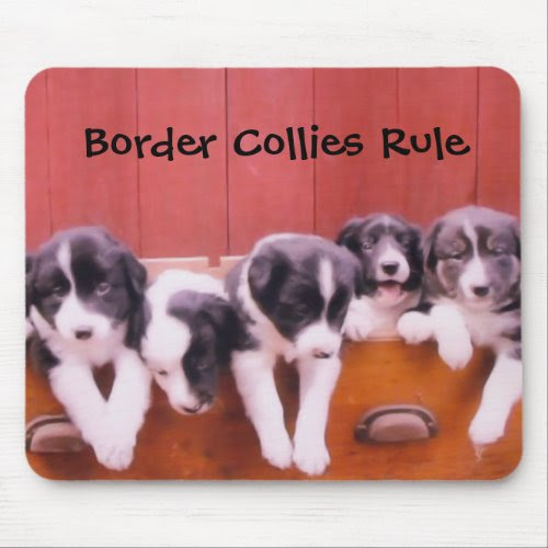 Border Collies Rule Mousepad mousepad