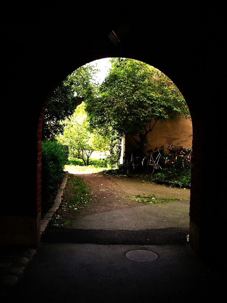 IMGP3388