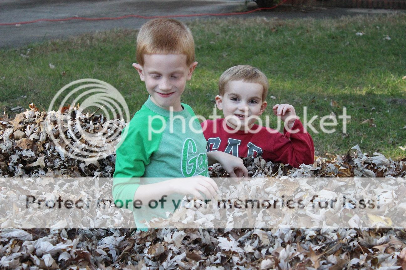 photo Fall5_zpsc9d77dd5.jpg