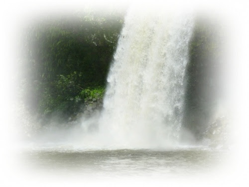 Bassin la Paix (2/3) - 