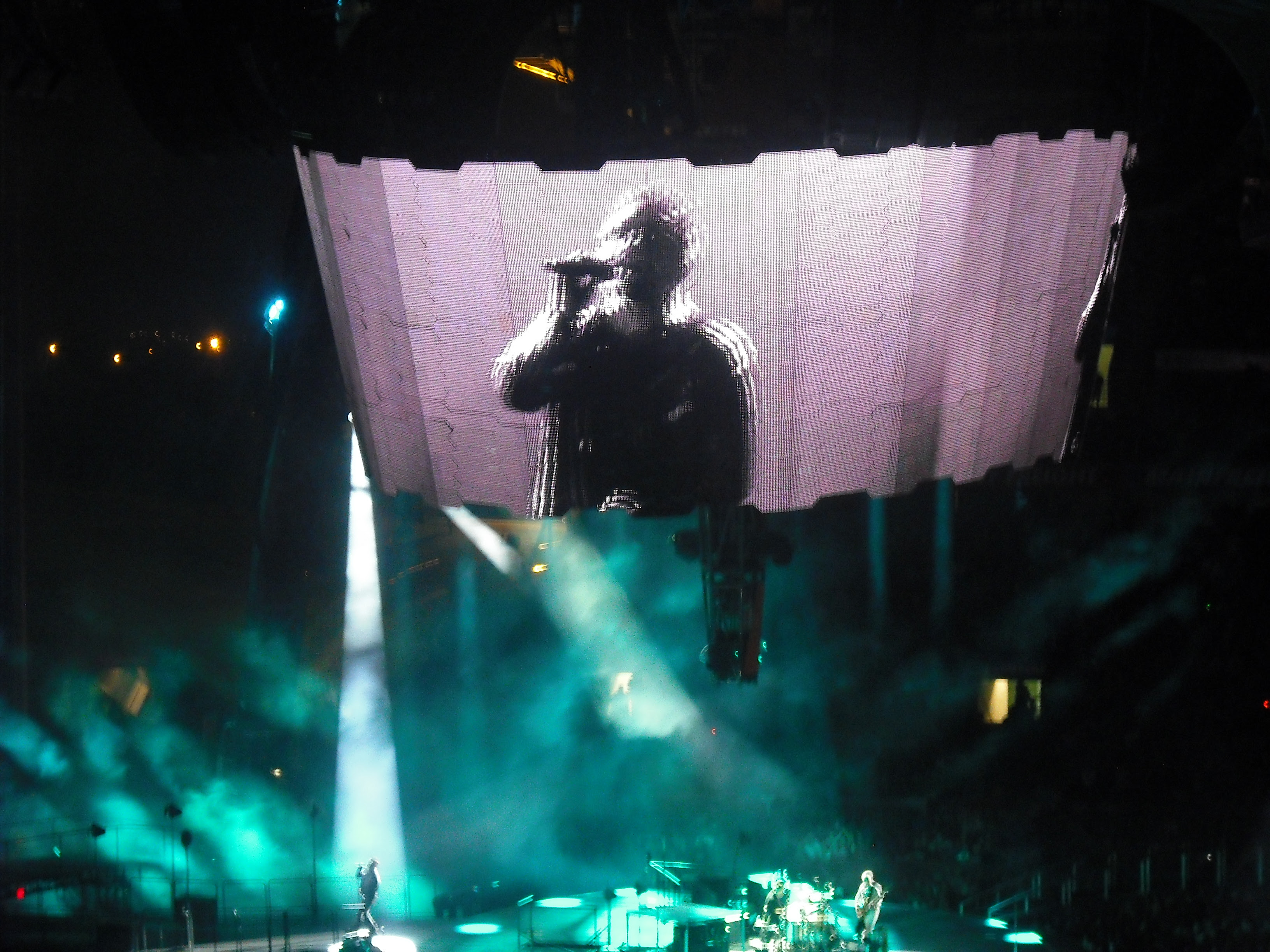 Bono on the big screen and