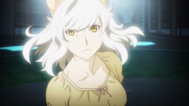 良いものは良い 好きなものは好き アニメ 猫物語 つばさタイガー