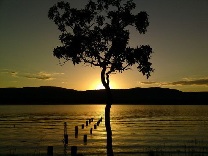 Beautiful Photos Taken with Camera Phones (35 pics)