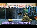 上 90cm 水槽 水量 672729-90cm スリム 水槽 水量