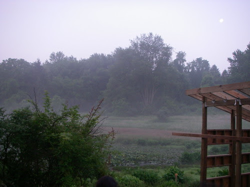 Misty pond with moon in Harrison Hills Park