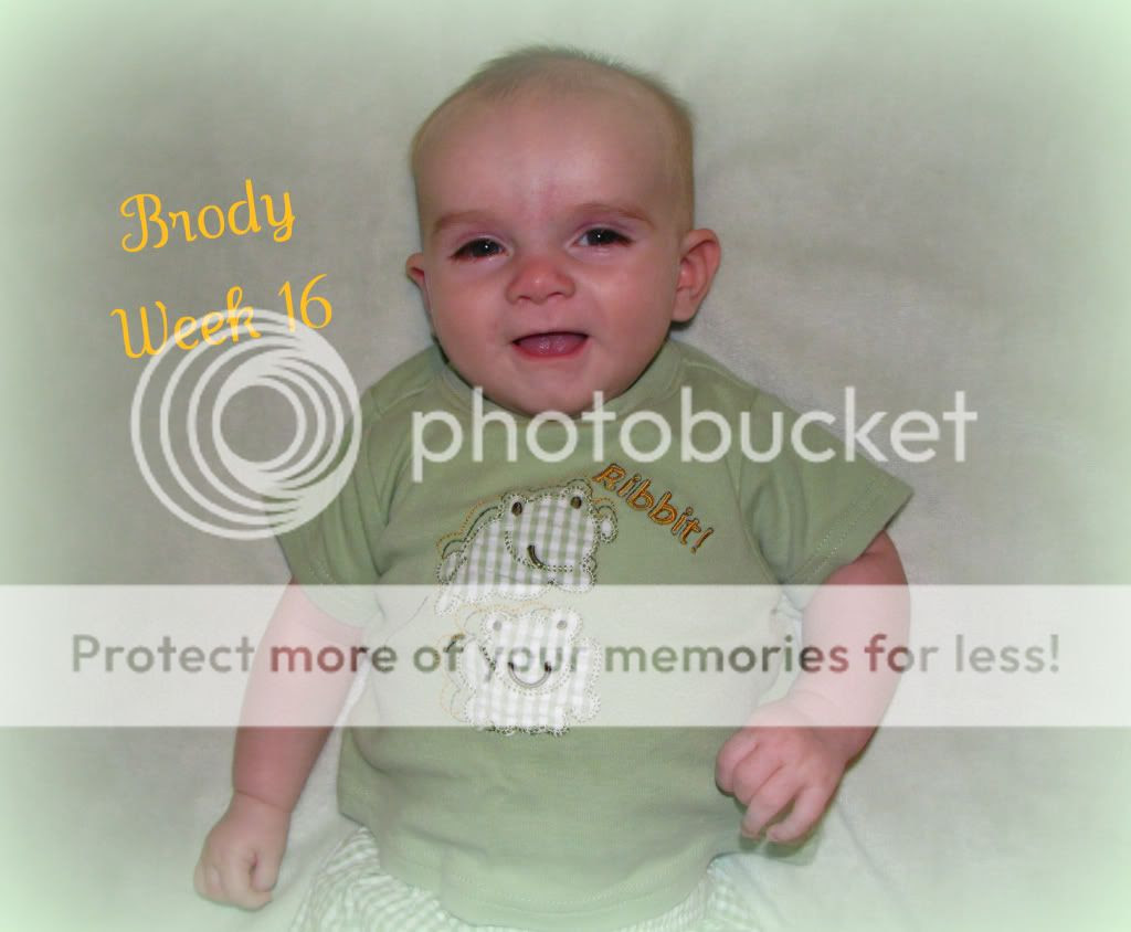  photo Week16.jpg