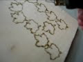 bernt wood Сanada name of maple leaves