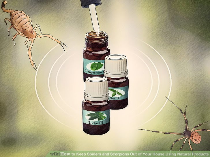 Keep Spiders and Scorpions Out of Your House Using Natural Products Step 1.jpg