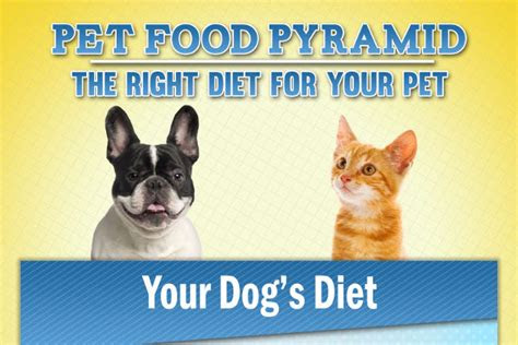 Fdasunshine mills is expanding its earlier recall of dog food products that were made wit. 150 Great Pet Food Names for Dogs and Cats - BrandonGaille.com
