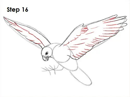How to Draw a Falcon