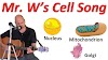  The Song Of The Cell: An Exploration Of Medicine And The New Human 