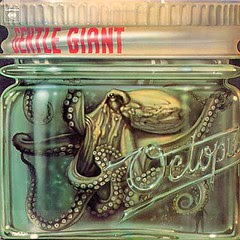 Gentle Giant Octopus