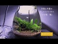 最高のコレクション アクアリウム 水 換え 不要 265181-アクアリウム 水換え不要