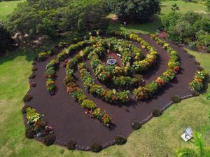 Galaxy-Garden-lomberg