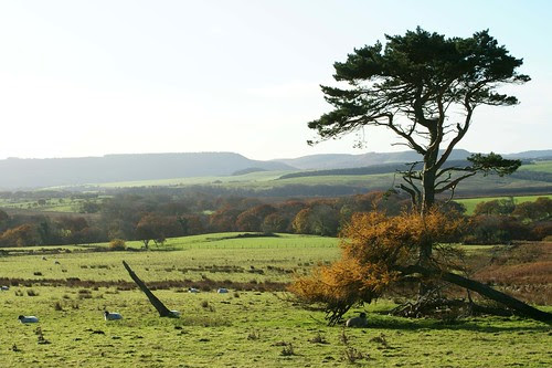 England nov 06 144