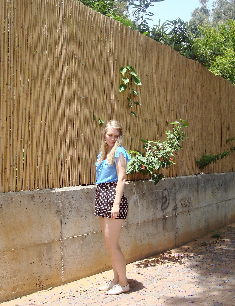 fence