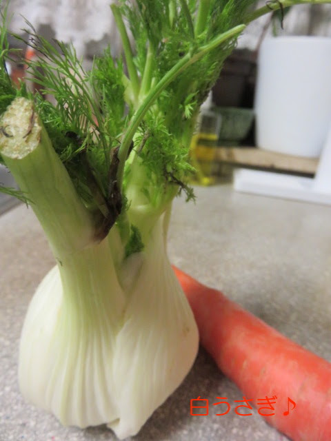 フェンネル うさぎの好きな野菜 黒パンもいいけどやはりご飯が食べたい 音楽と本とうさぎの日記