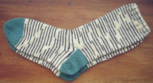 zebra socks flat