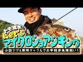 マイクロジギング ショア タックル 329215-マイクロジギング ショア タックル